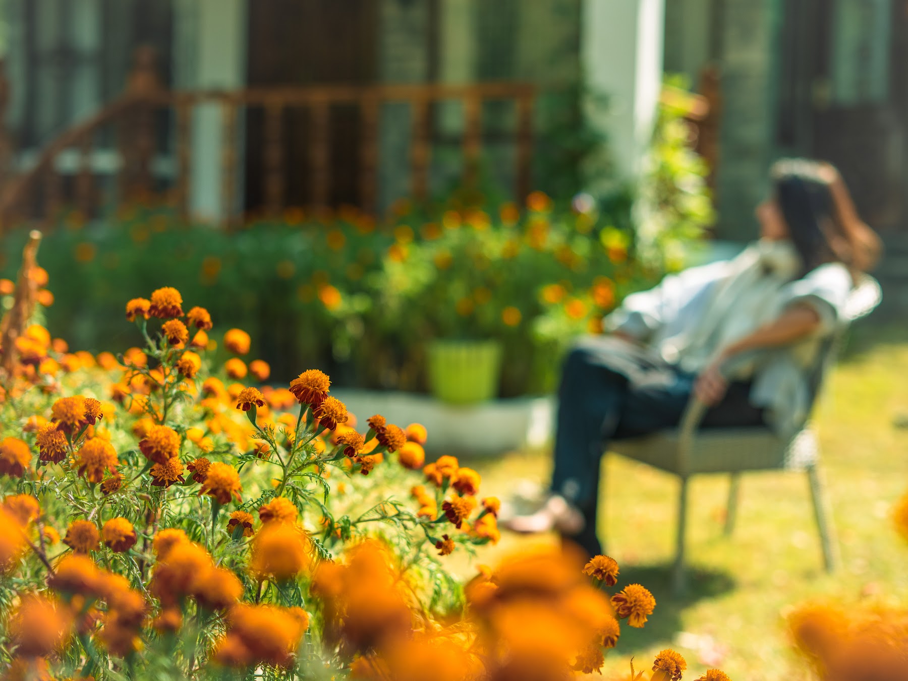 Relaxing among marigolds in the villa garden