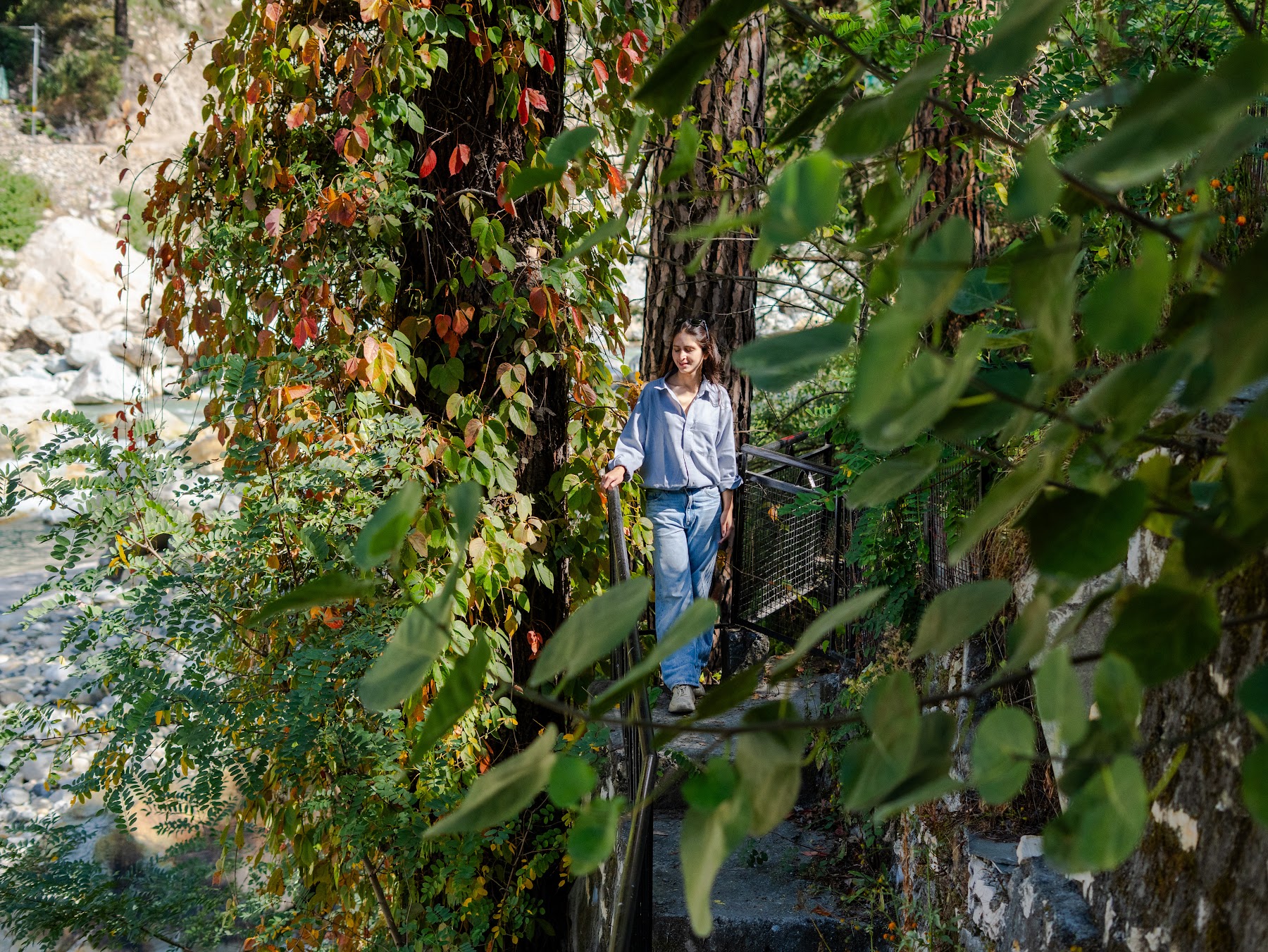 Walking through lush forest near Kasol