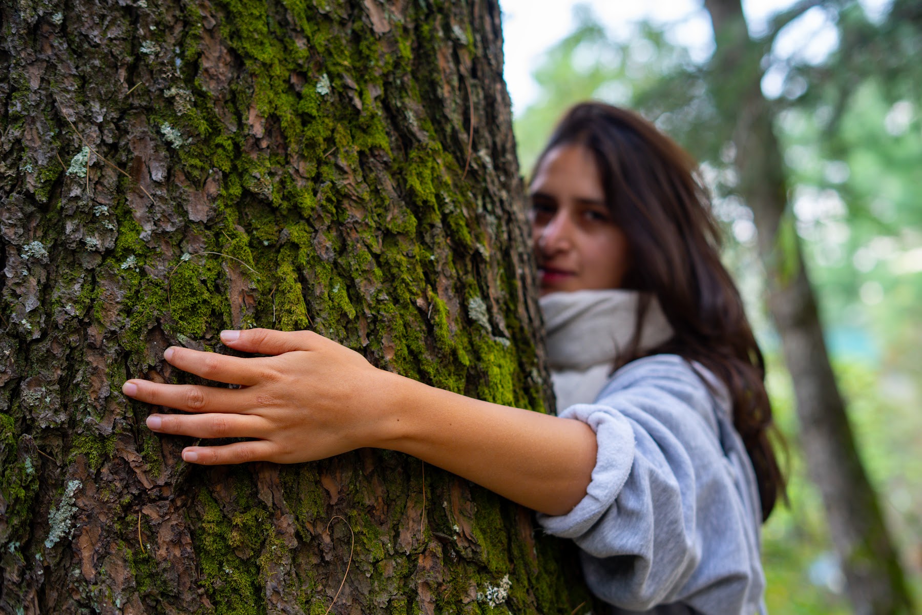 Guest beside a large pine trunk in the forest