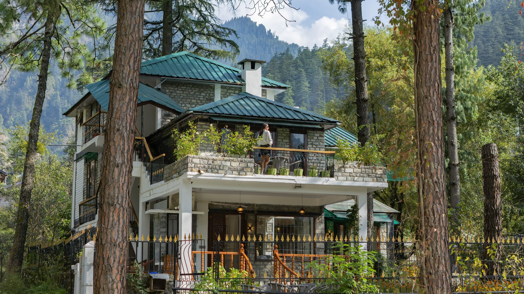 Aerial view of the villa roof among pine trees